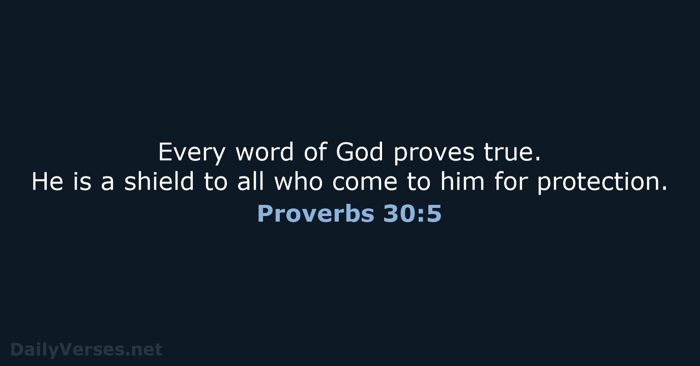 Every word of God proves true. He is a shield to all… Proverbs 30:5