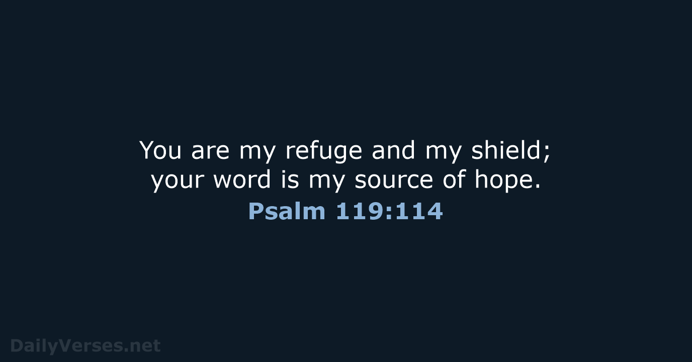 You are my refuge and my shield; your word is my source of hope. Psalm 119:114