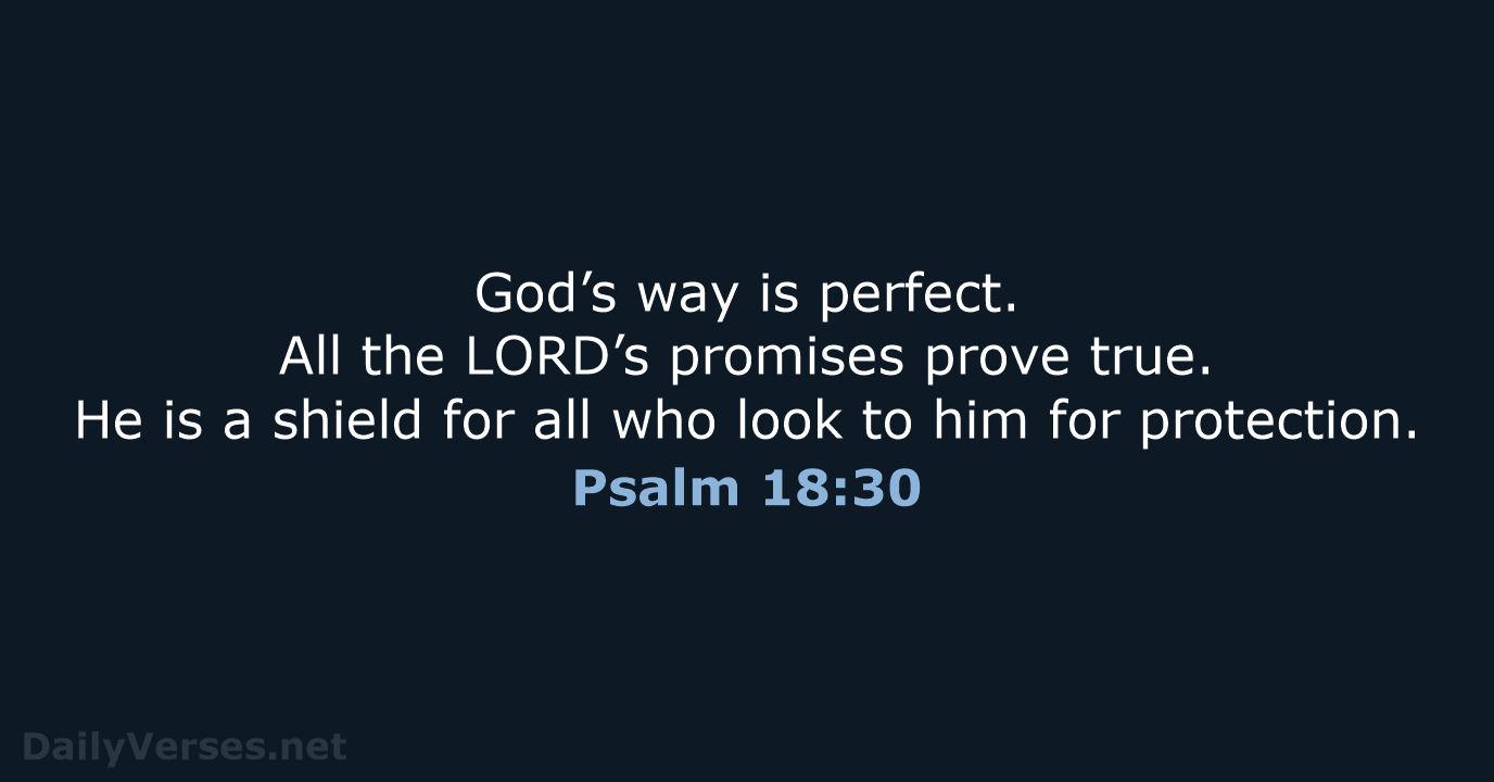 Psalm 18:30 - NLT