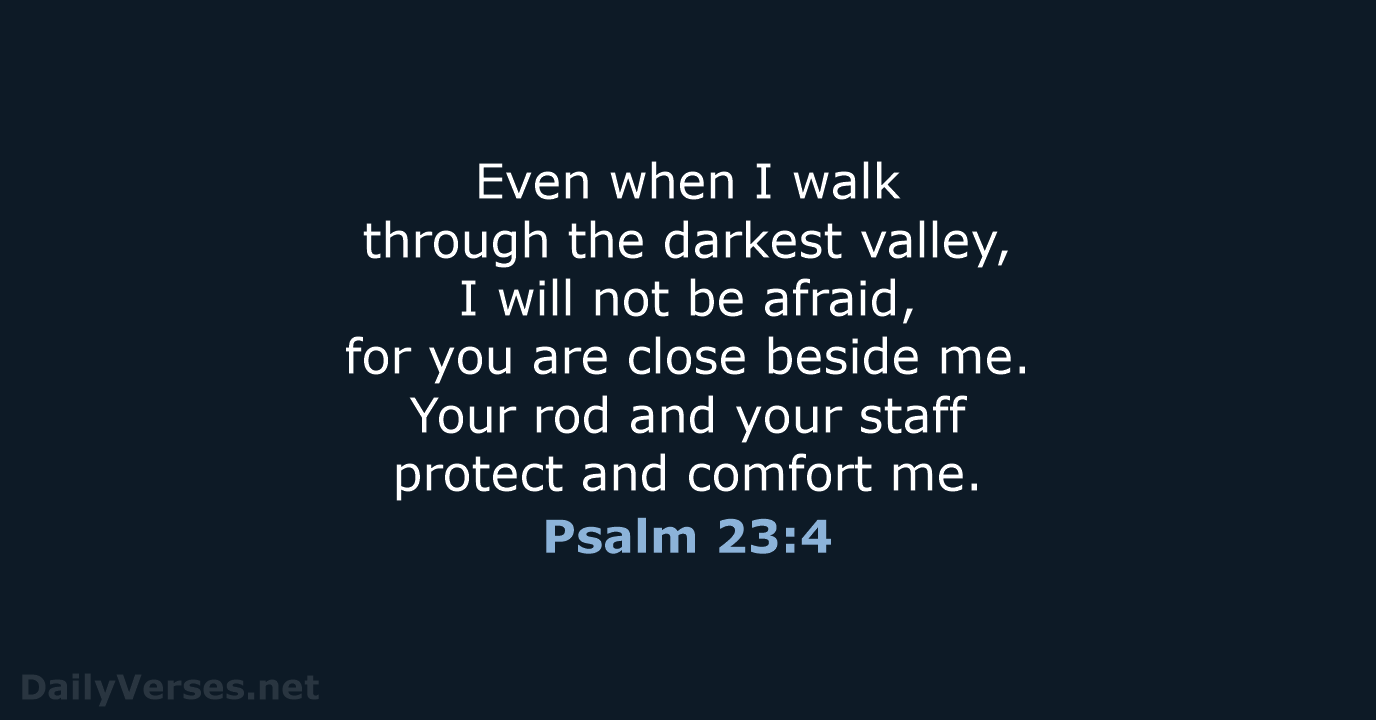 Psalm 23:4 - NLT