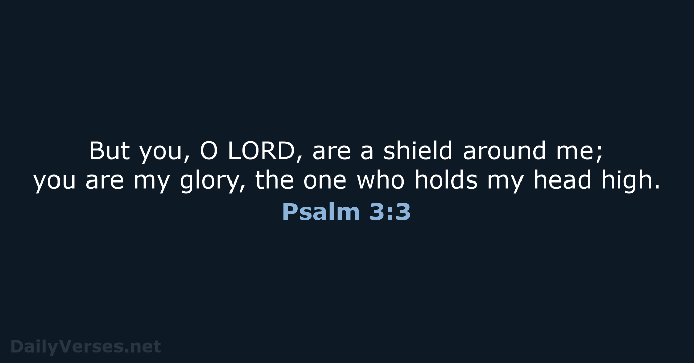 But you, O LORD, are a shield around me; you are my… Psalm 3:3