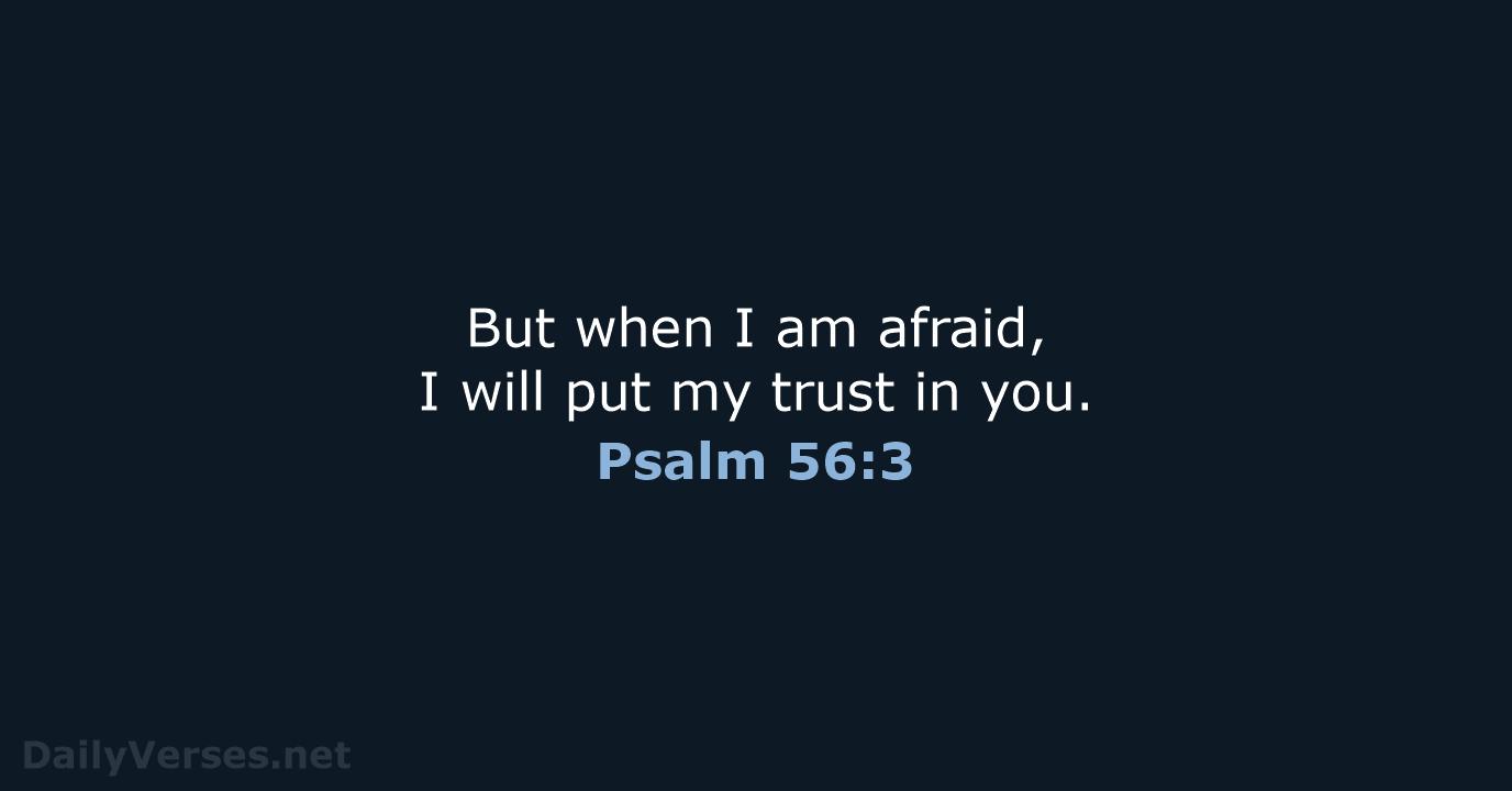 psalm-56-3-bible-verse-nlt-dailyverses