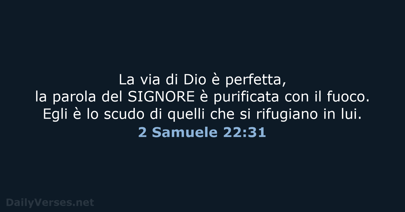 2 Samuele 22:31 - NR06