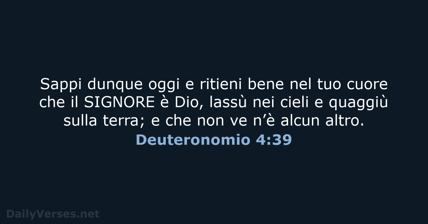 Deuteronomio 4:39 - NR06