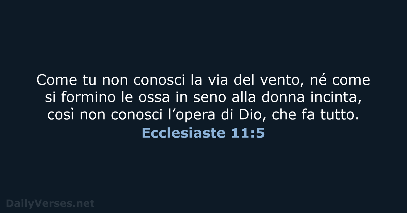 Ecclesiaste 11:5 - NR06