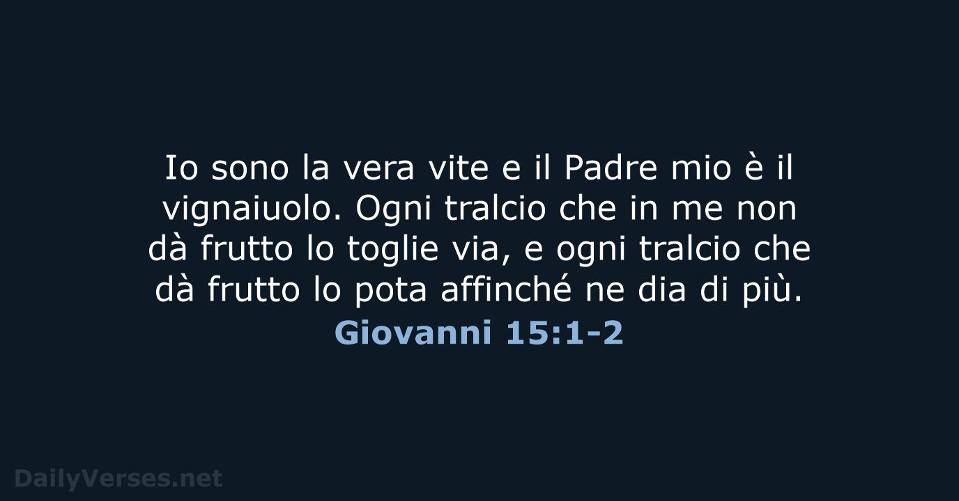 Giovanni 15:1-2 - NR06