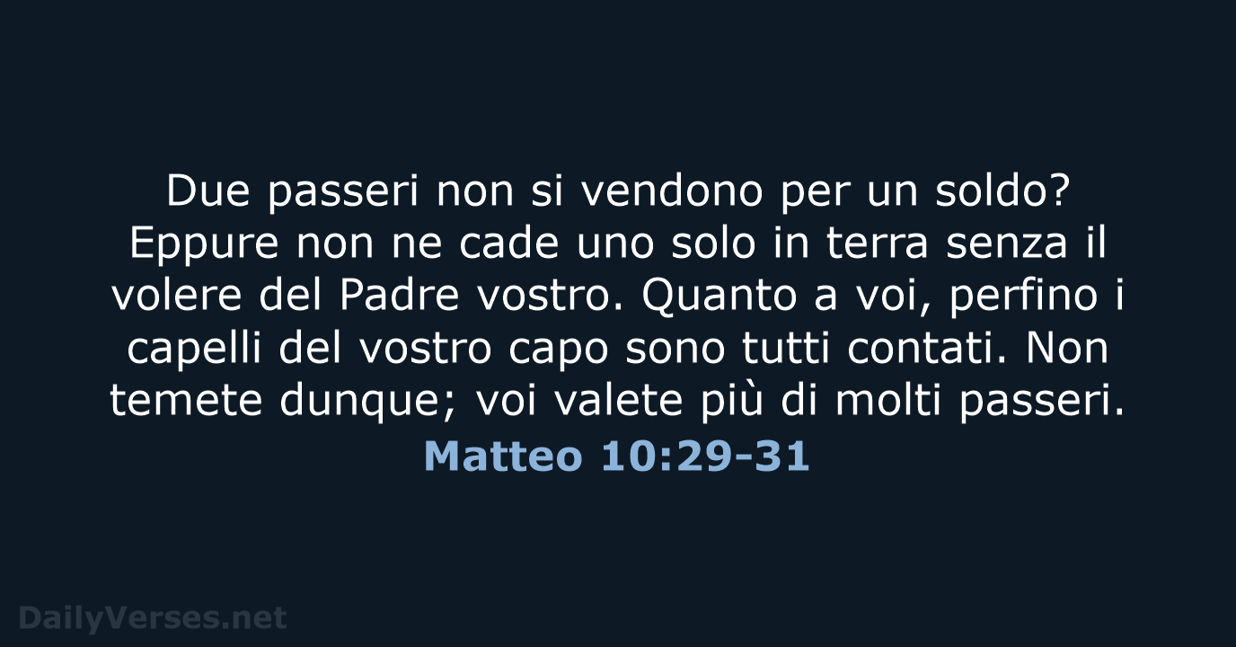 Matteo 10:29-31 - NR06