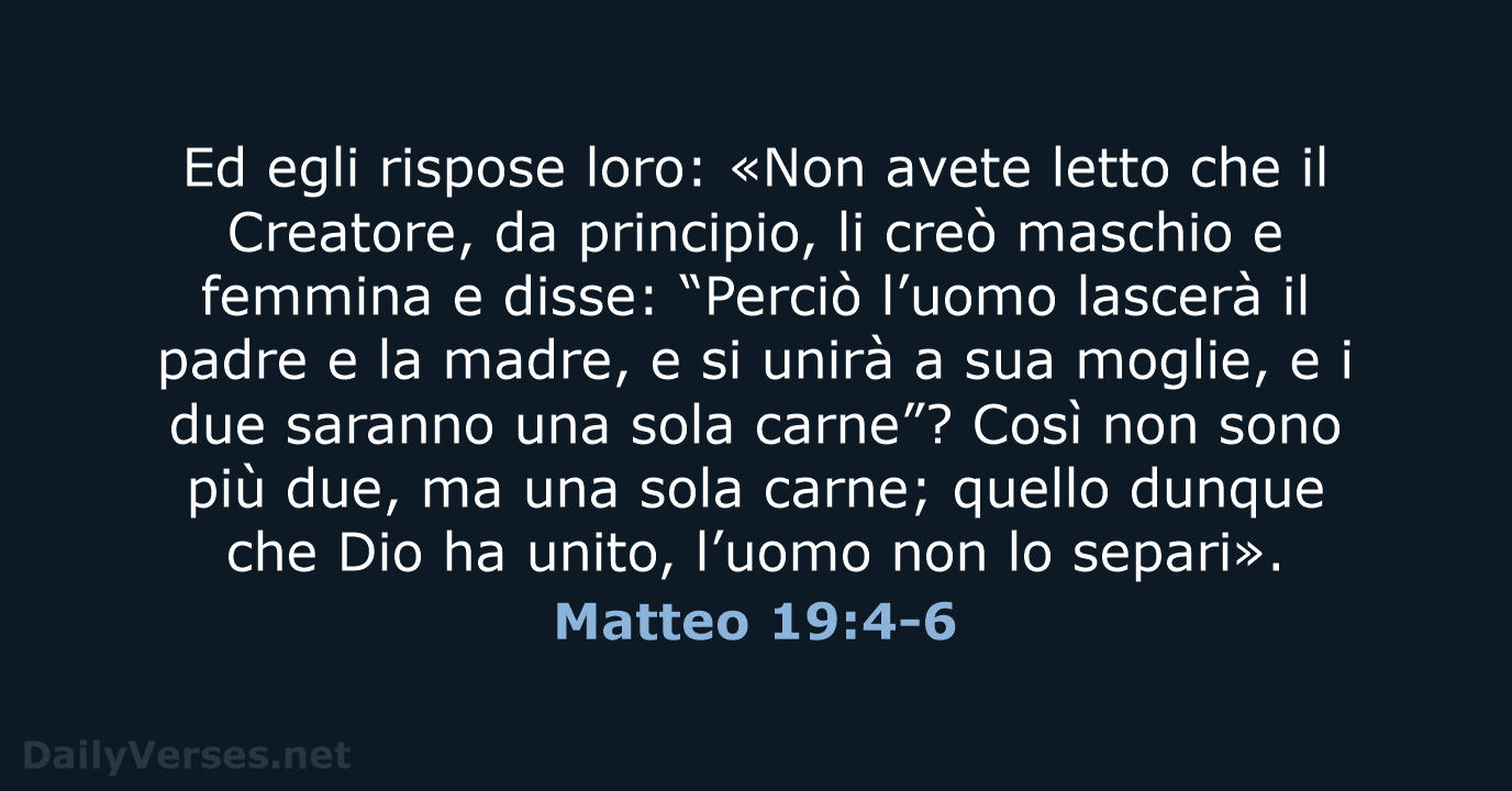 Matteo 19:4-6 - NR06