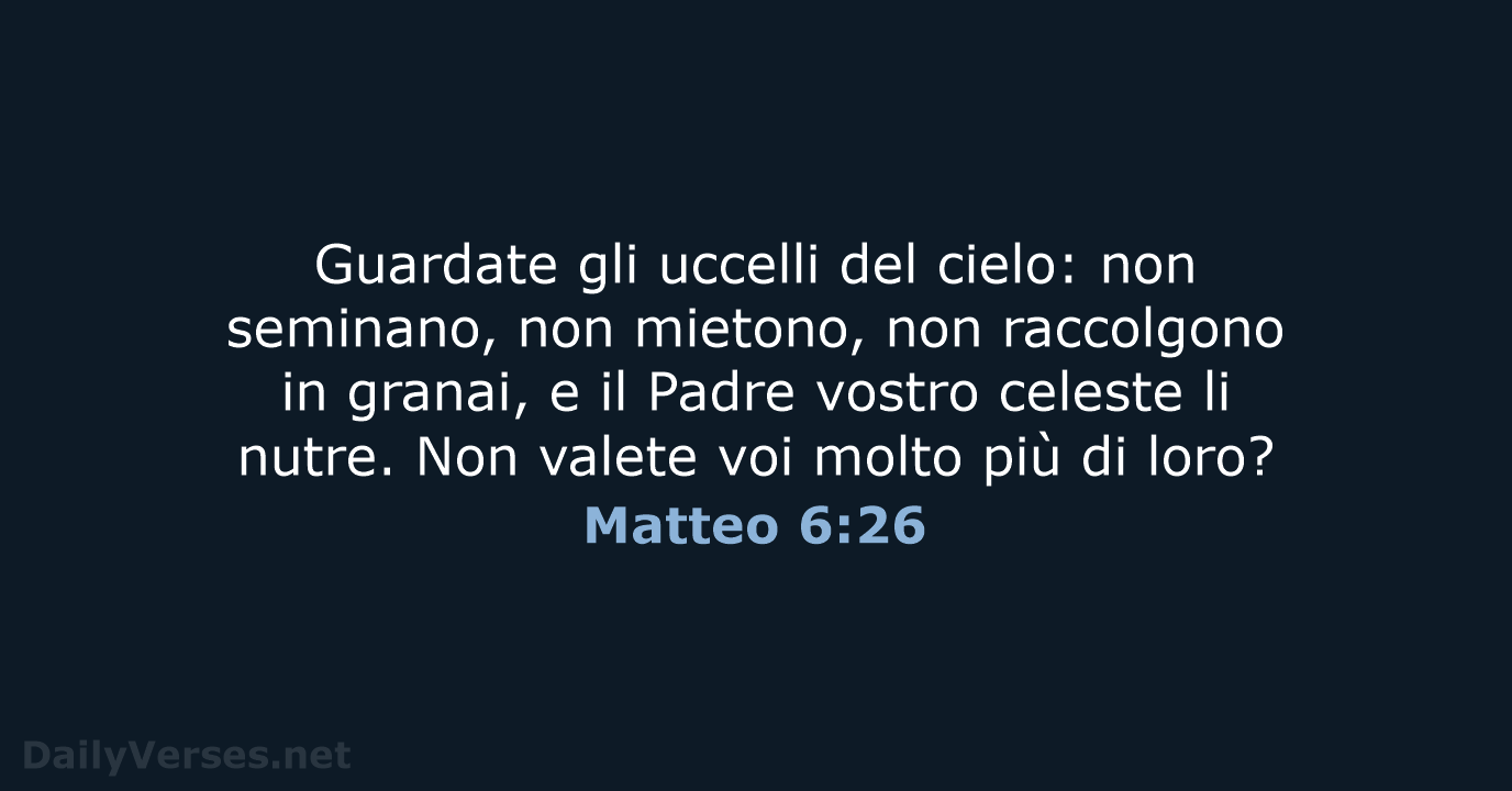 Matteo 6:26 - NR06