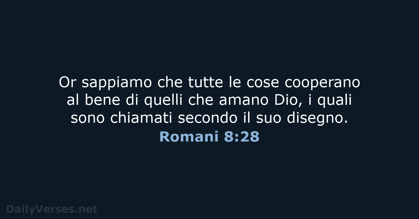 Romani 8:28 - NR06