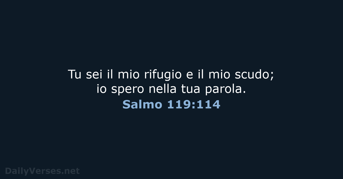 Salmo 119:114 - NR06