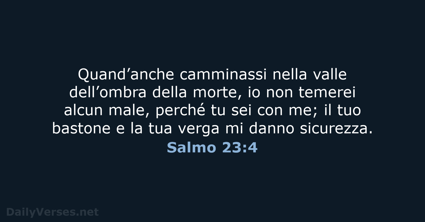 Salmo 23:4 - NR06