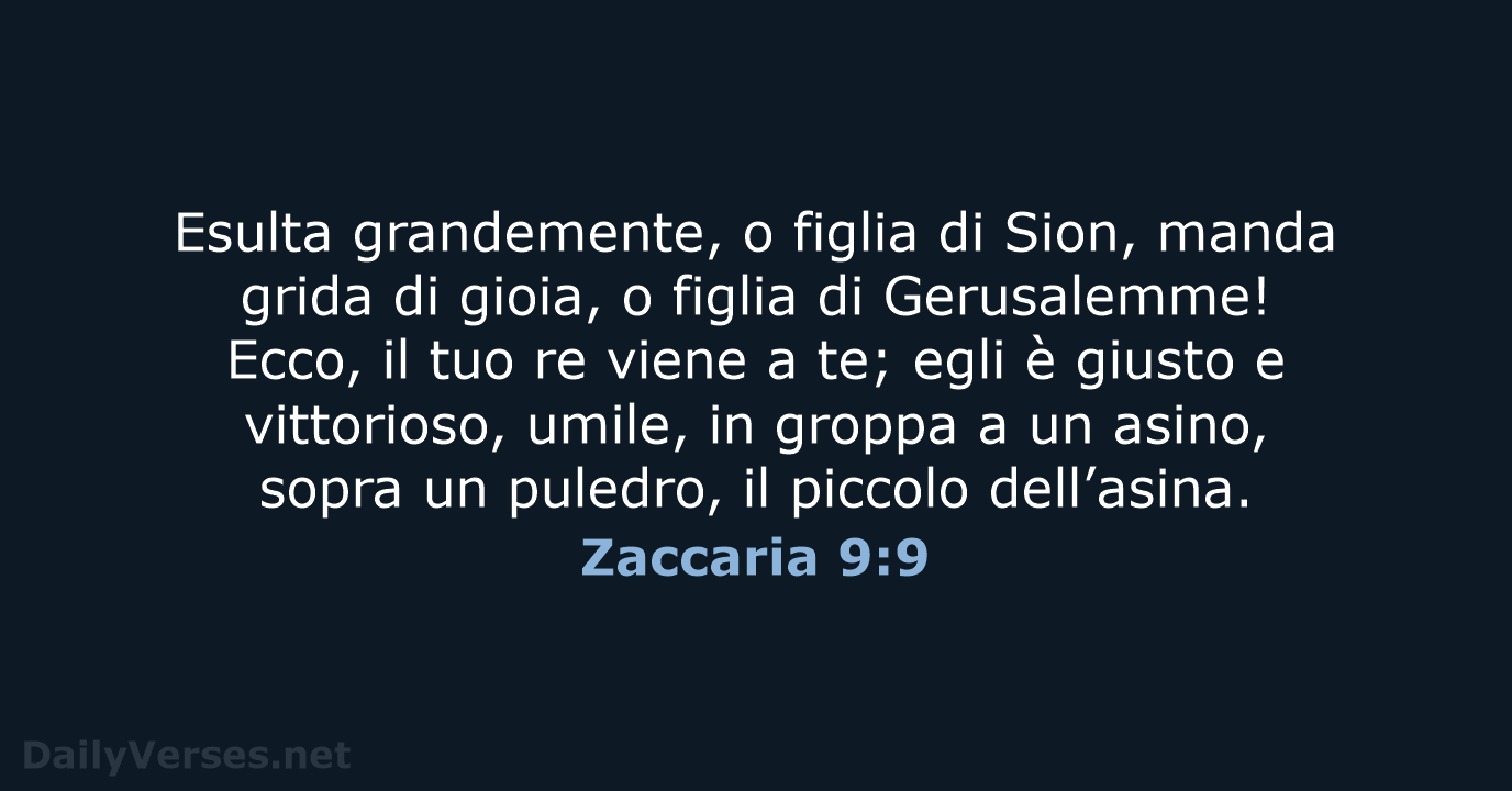 Zaccaria 9:9 - NR06