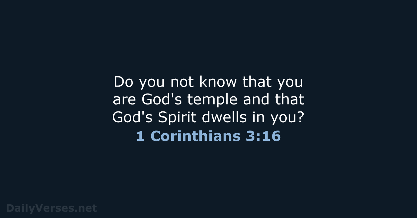 1 Corinthians 3:16 - NRSV
