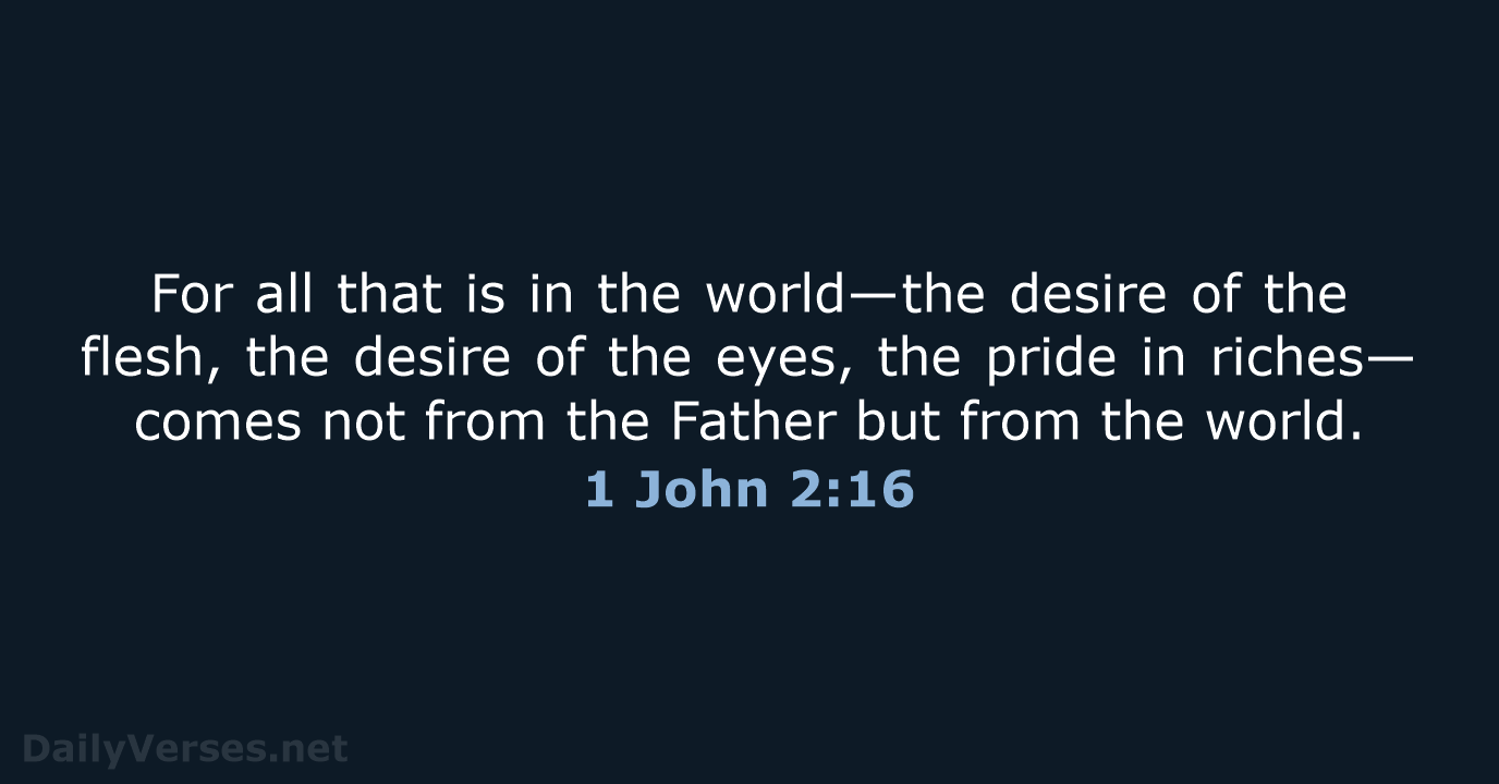 1 John 2:16 - NRSV