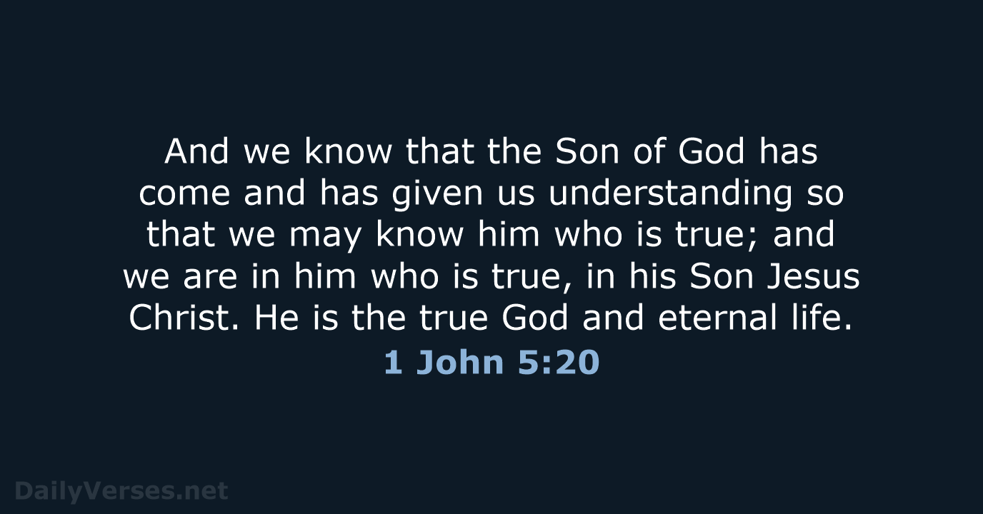 1 John 5:20 - NRSV
