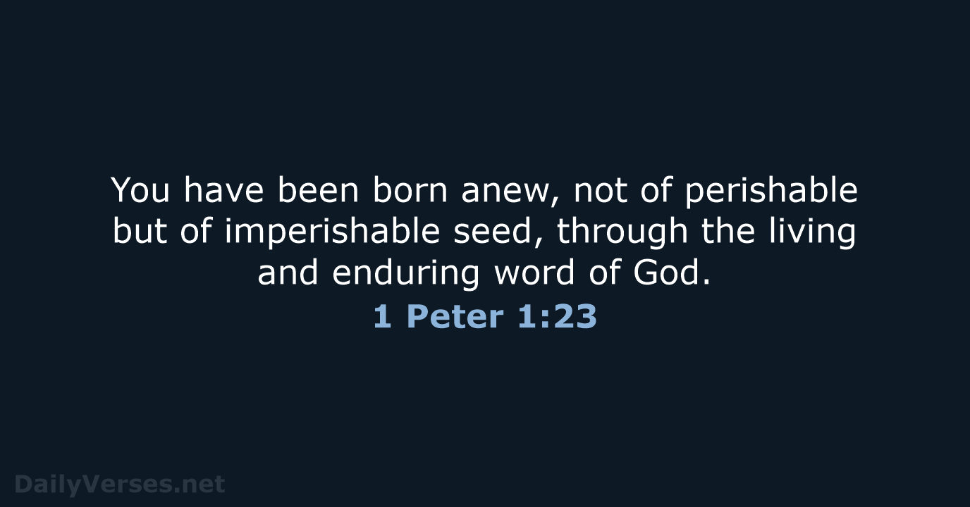 You have been born anew, not of perishable but of imperishable seed… 1 Peter 1:23