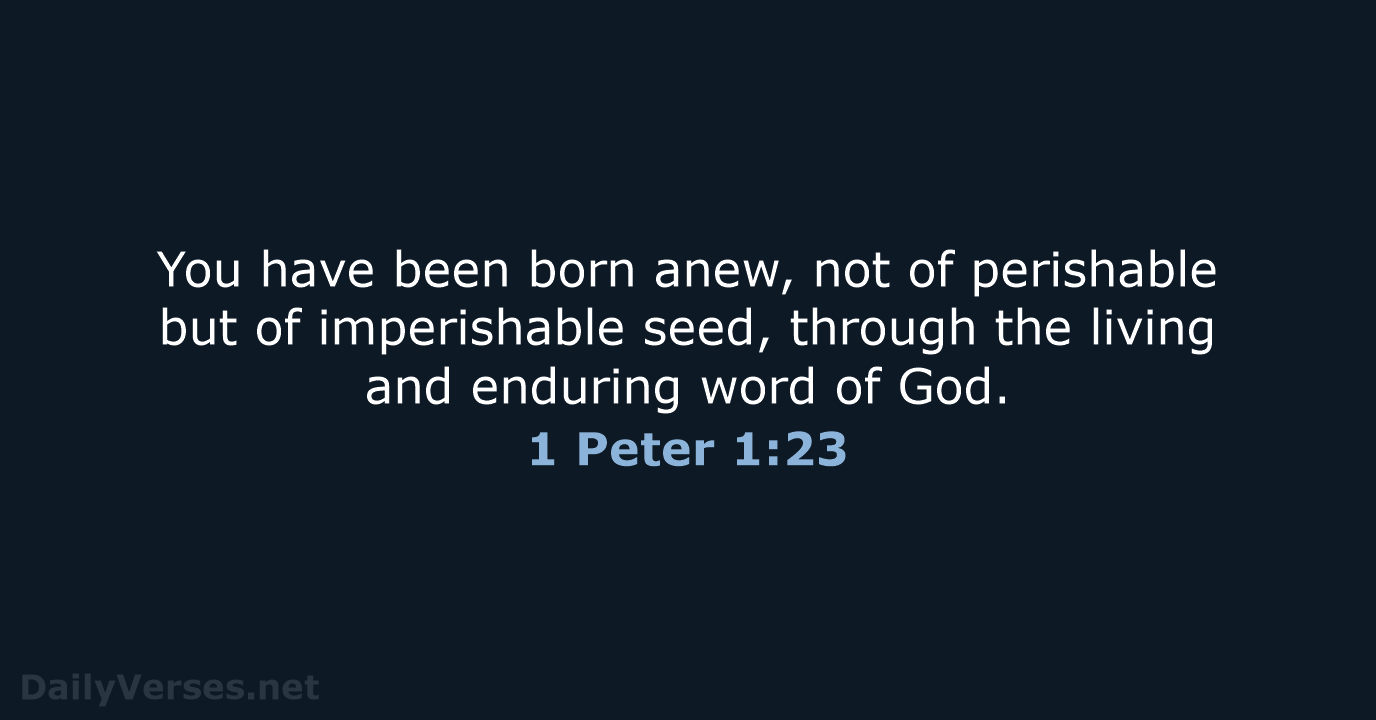 1 Peter 1 23 Bible Verse NRSV DailyVerses