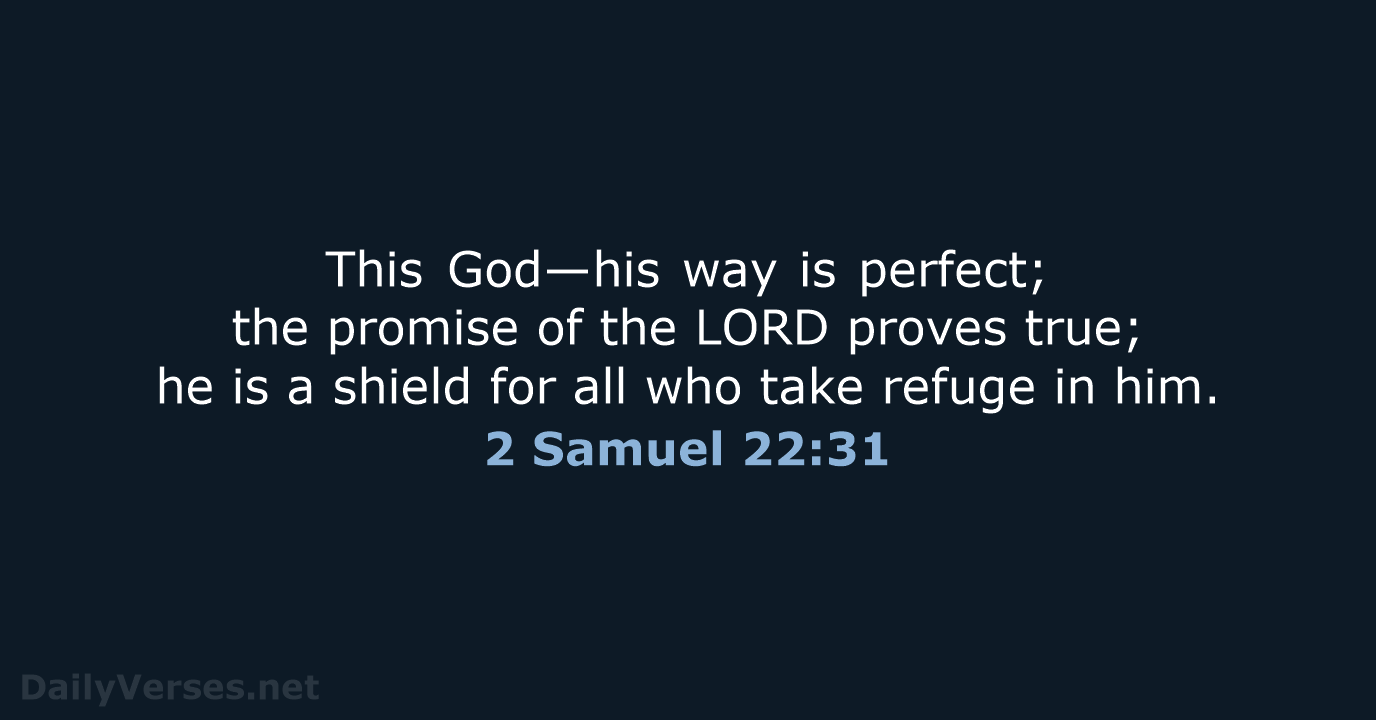 This God—his way is perfect; the promise of the LORD proves true… 2 Samuel 22:31