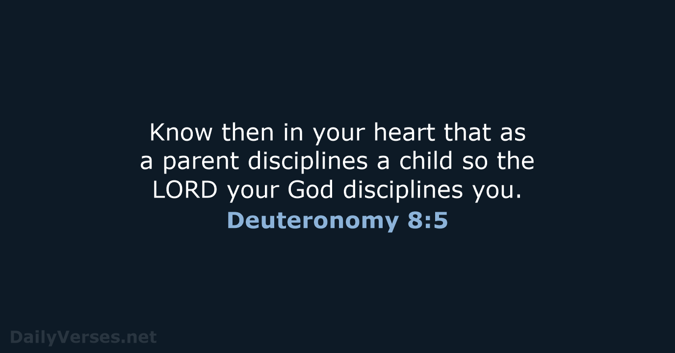 Deuteronomy 8:5 - NRSV