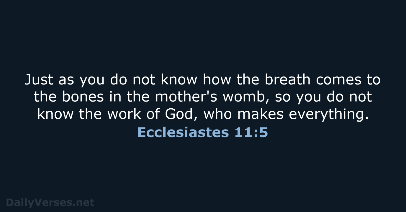 Just as you do not know how the breath comes to the… Ecclesiastes 11:5