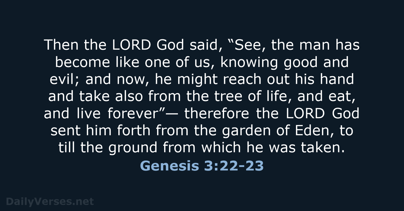 Then the LORD God said, “See, the man has become like one… Genesis 3:22-23