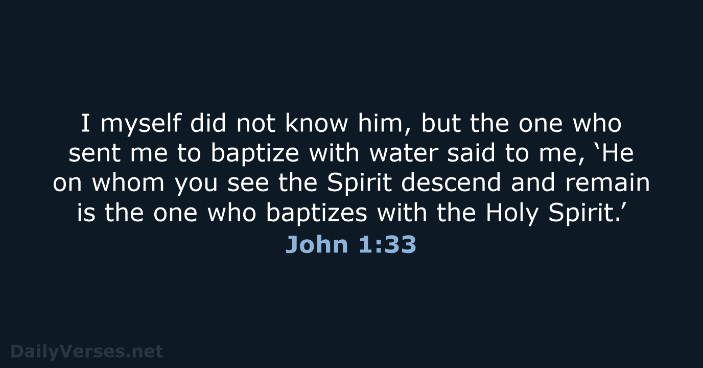 John 1:33 - NRSV