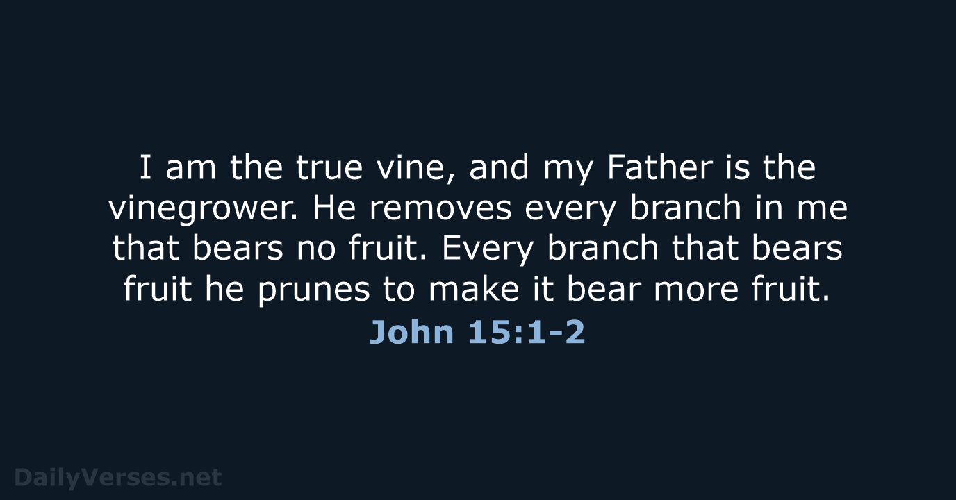 I am the true vine, and my Father is the vinegrower. He… John 15:1-2