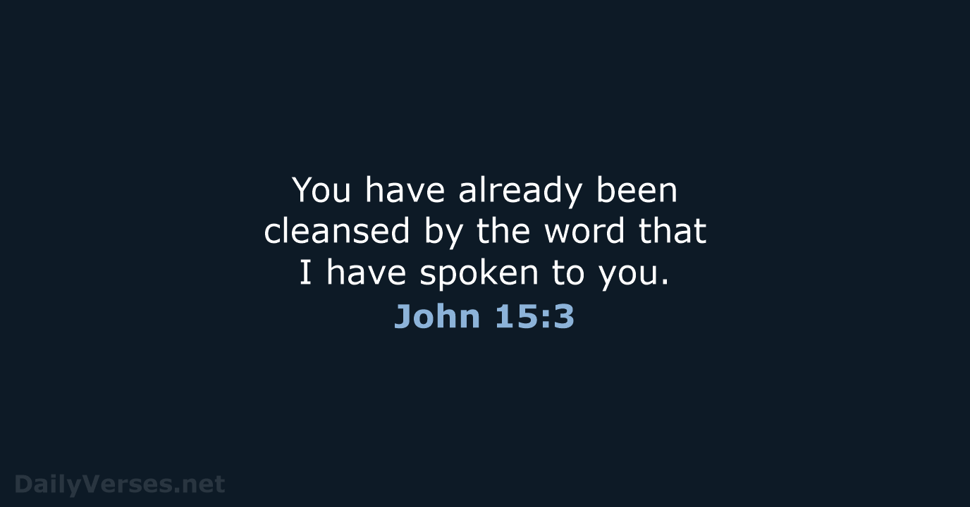 You have already been cleansed by the word that I have spoken to you. John 15:3