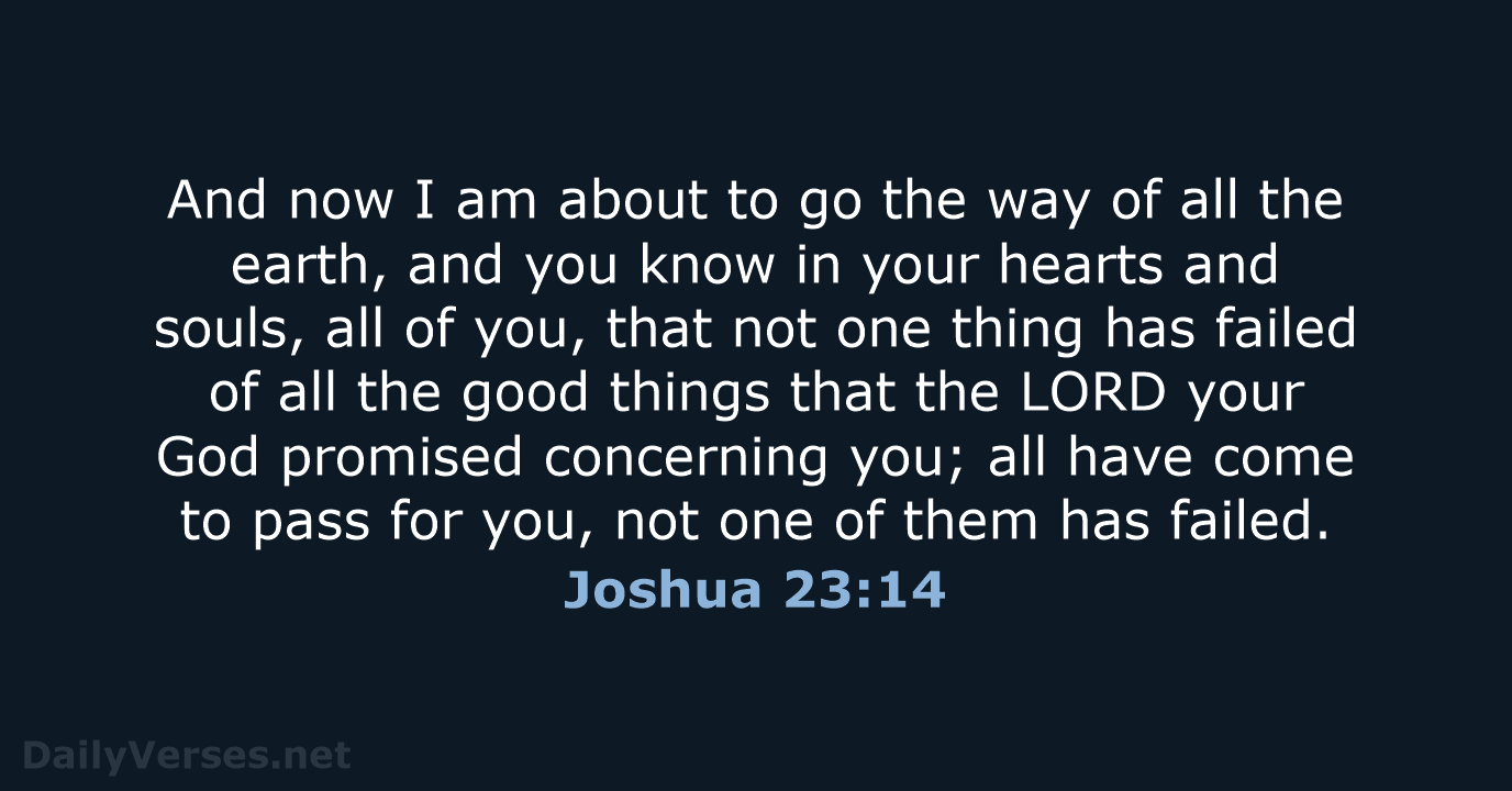 Joshua 23:14 - NRSV