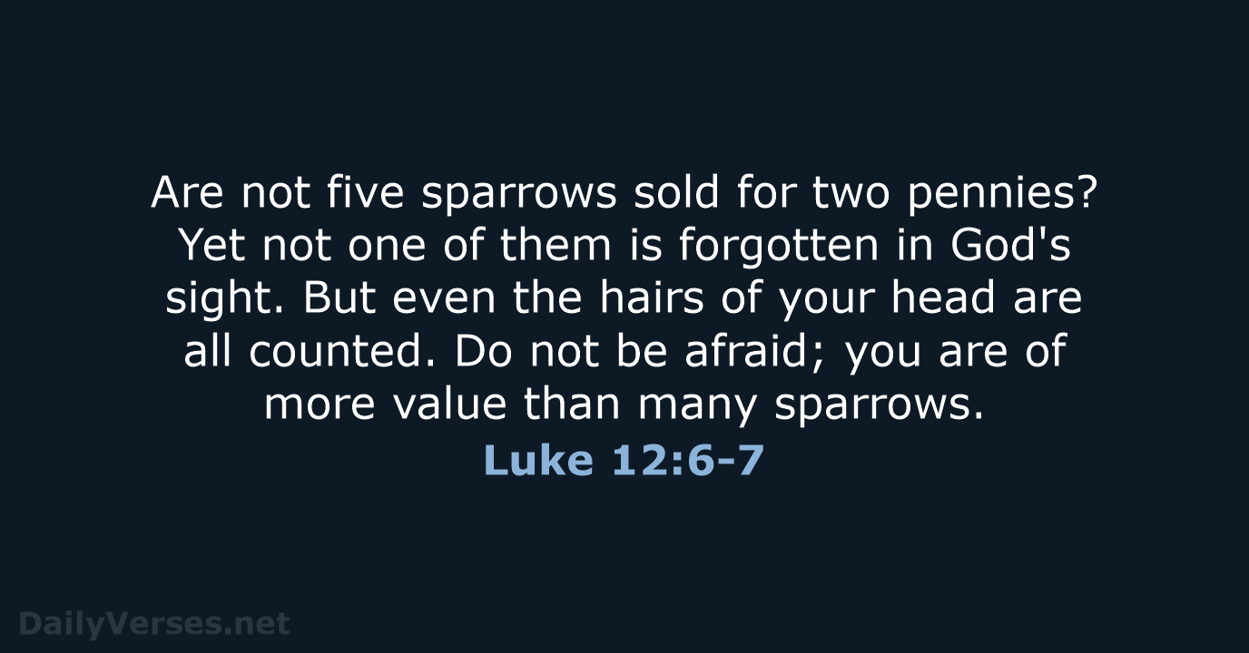 Luke 12:6-7 - NRSV