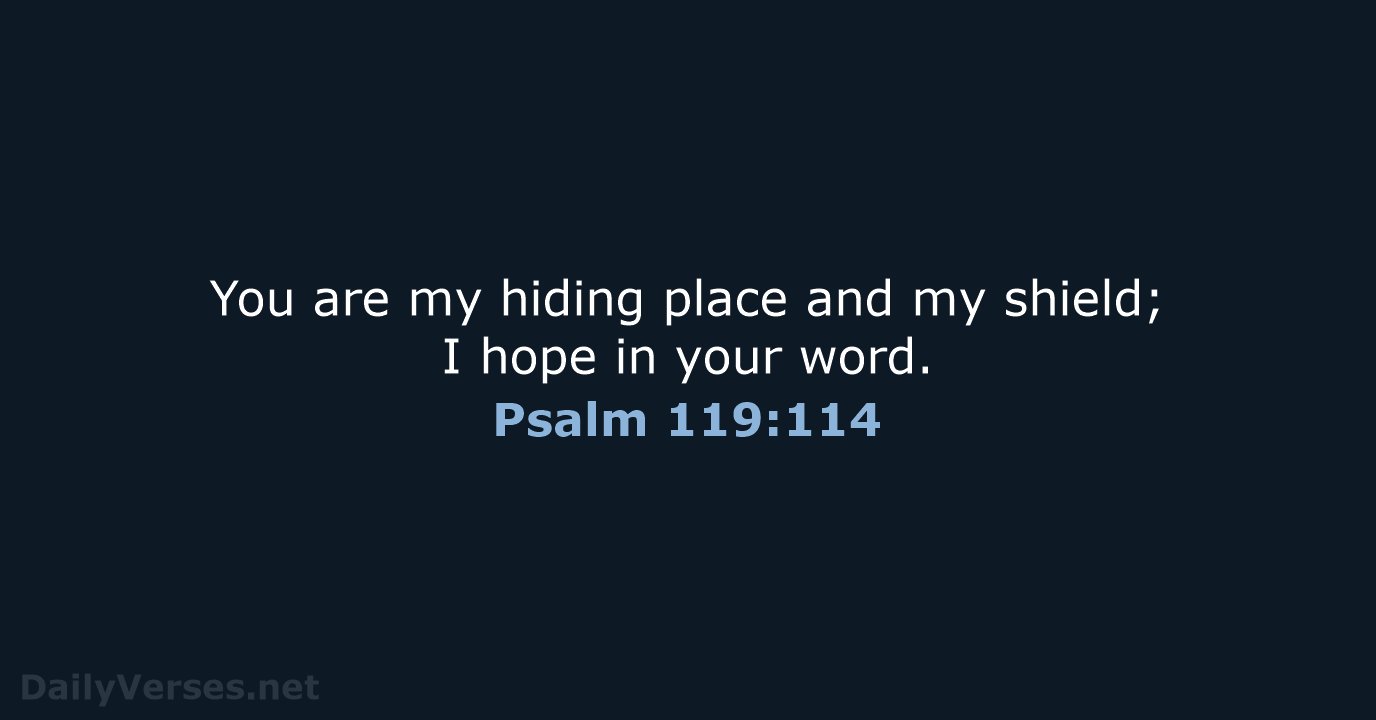 Psalm 119:114 - NRSV