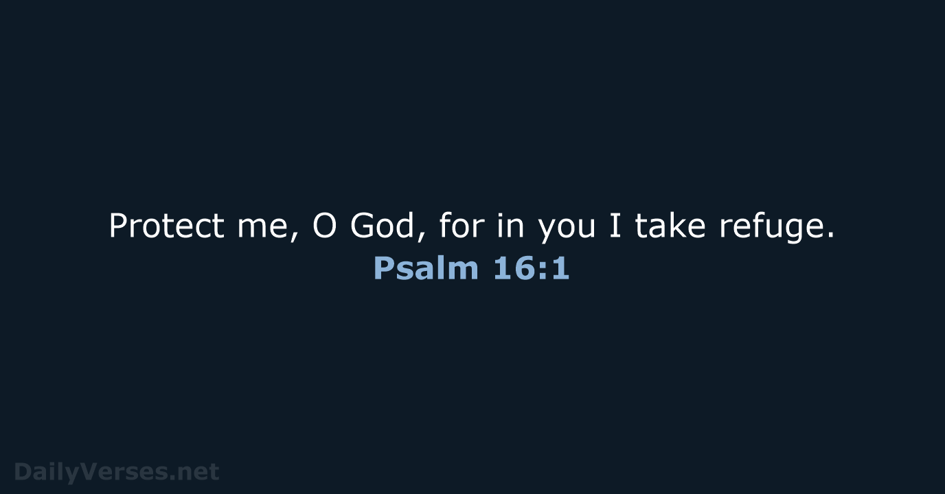 Protect me, O God, for in you I take refuge. Psalm 16:1