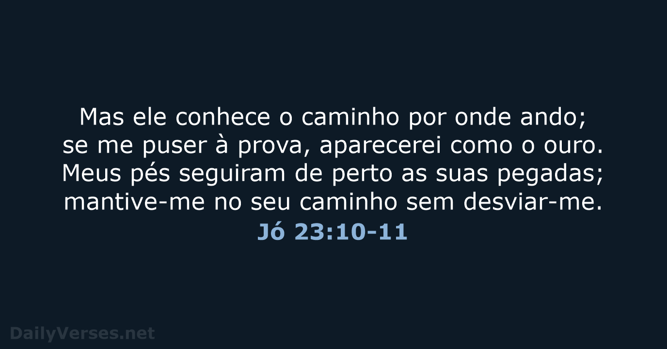 Jó 23:10-11 - NVI