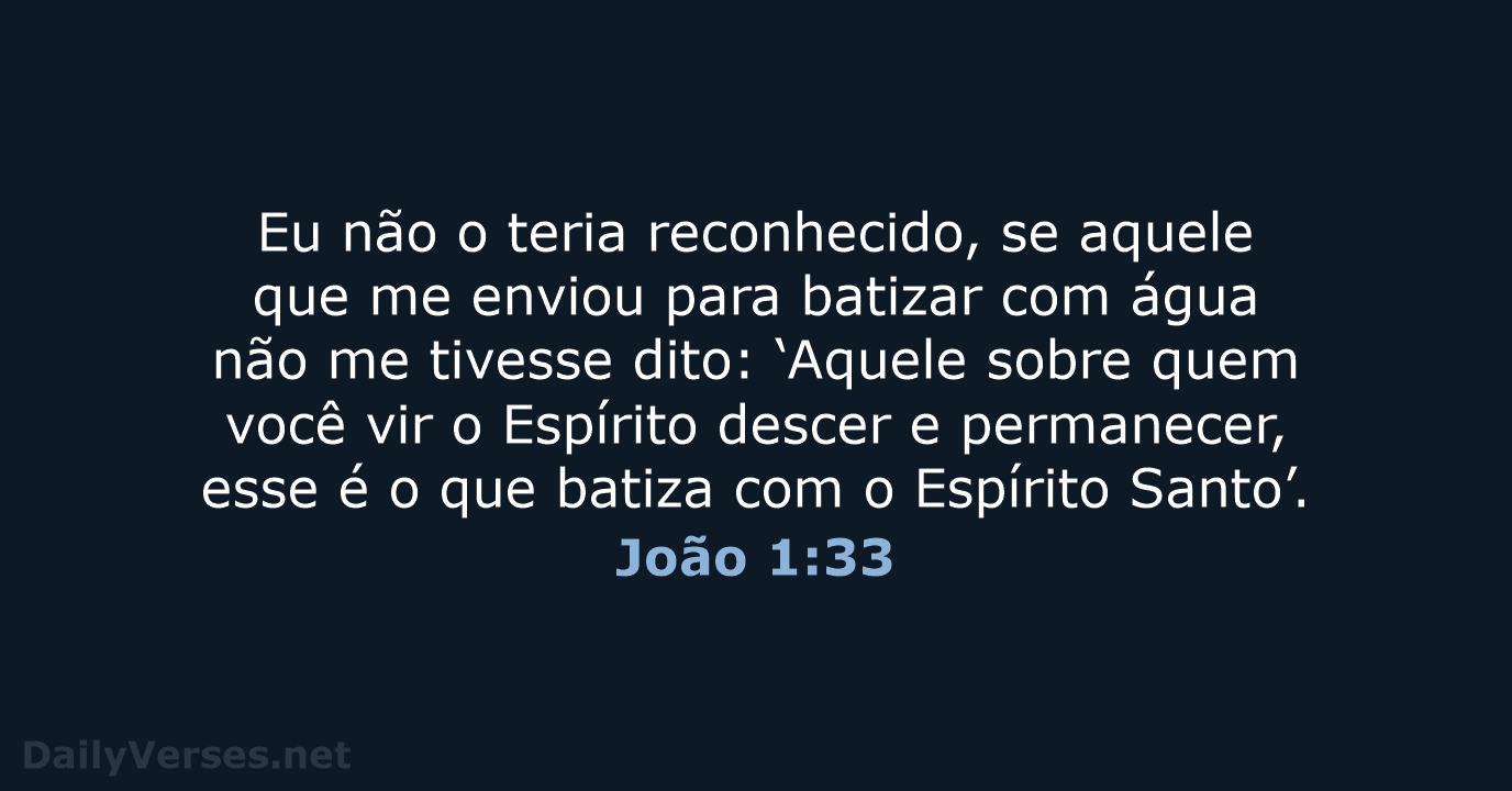João 1:33 - NVI