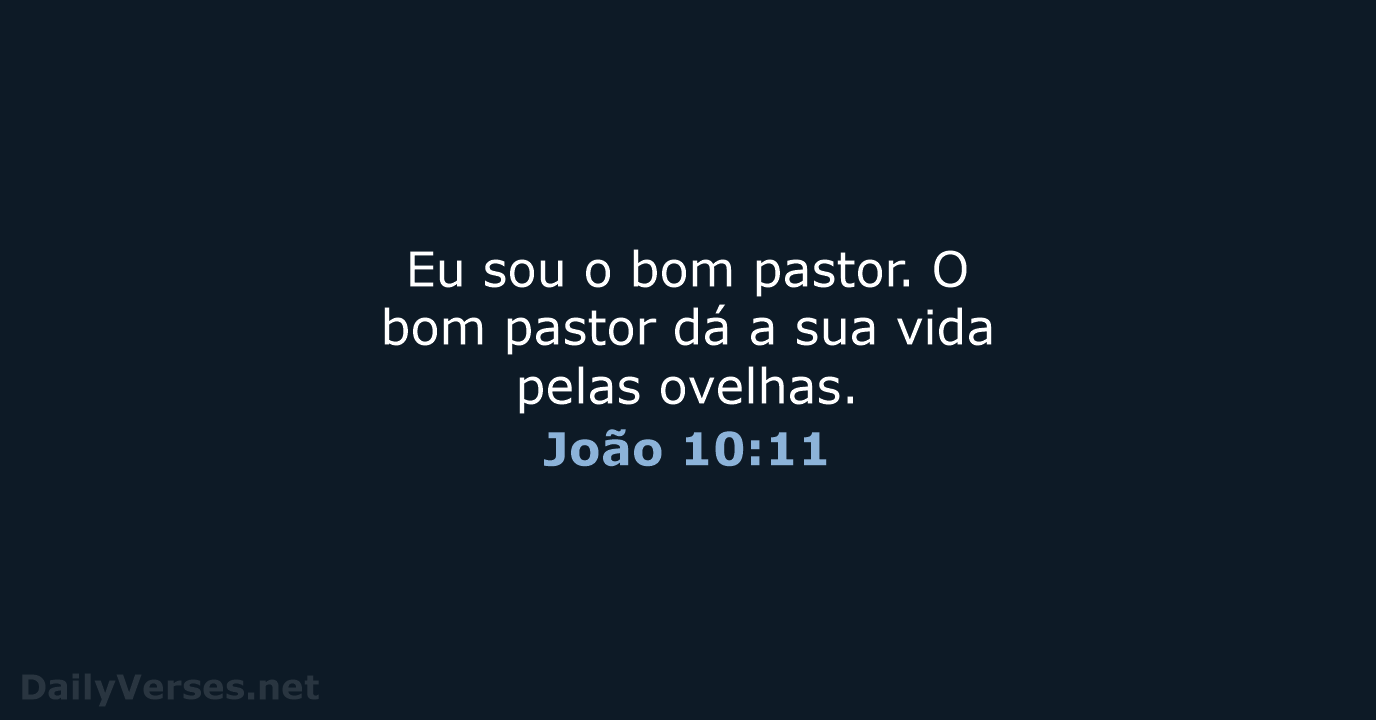 João 10:11 - NVI