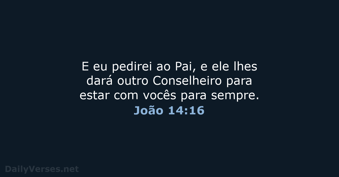 João 14:16 - NVI