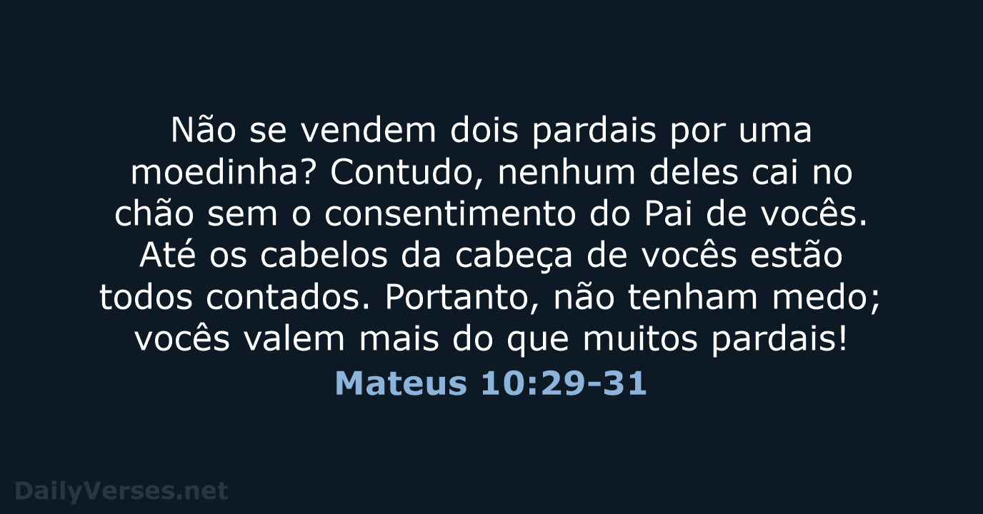 Mateus 10:29-31 - NVI