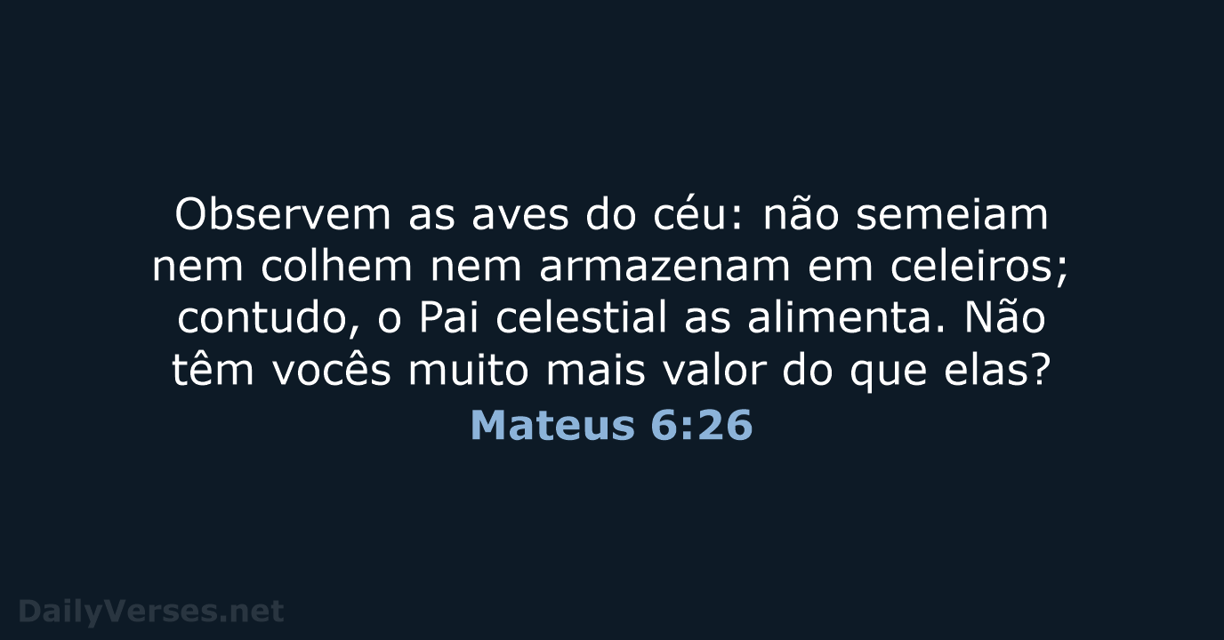 Mateus 6:26 - NVI