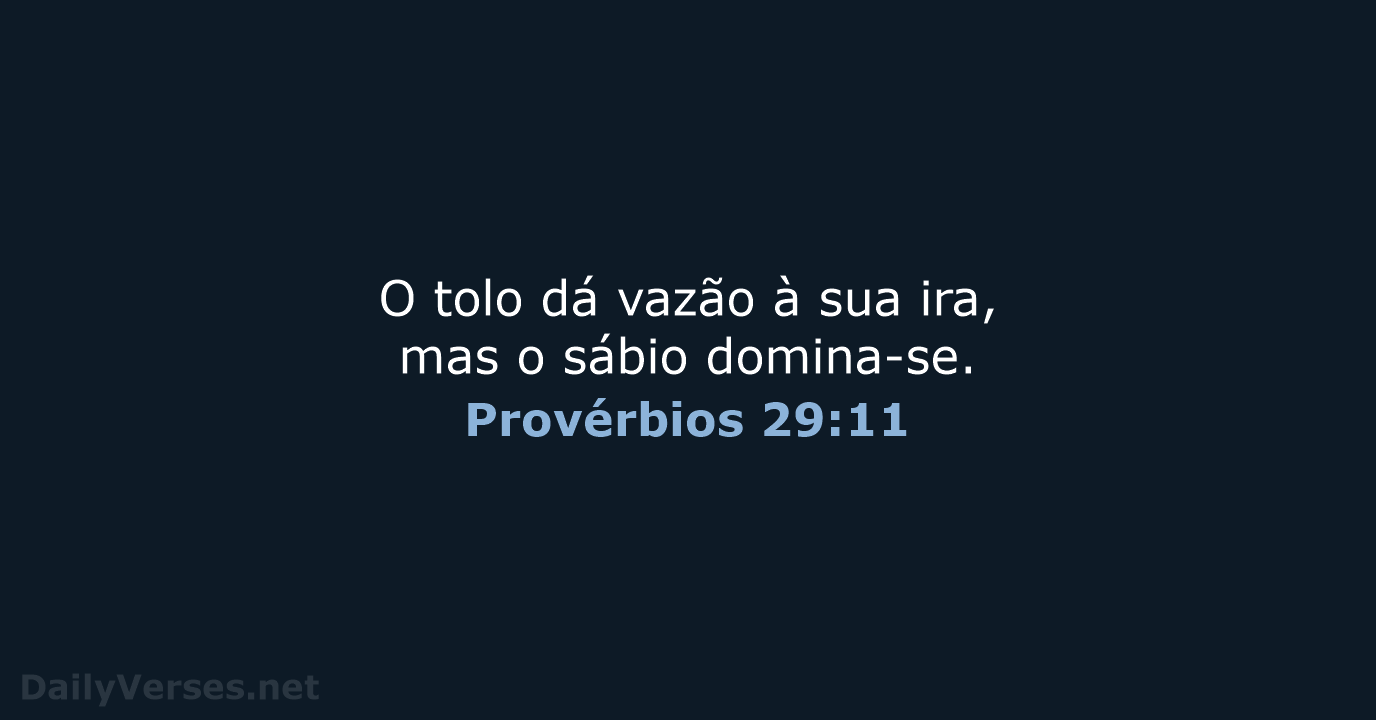 Provérbios 29:11 - NVI