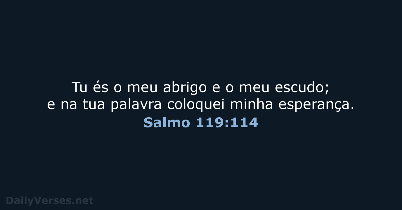 Salmo 119:114 - NVI