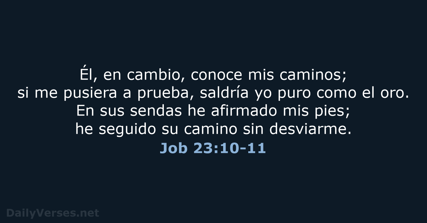Job 23:10-11 - NVI
