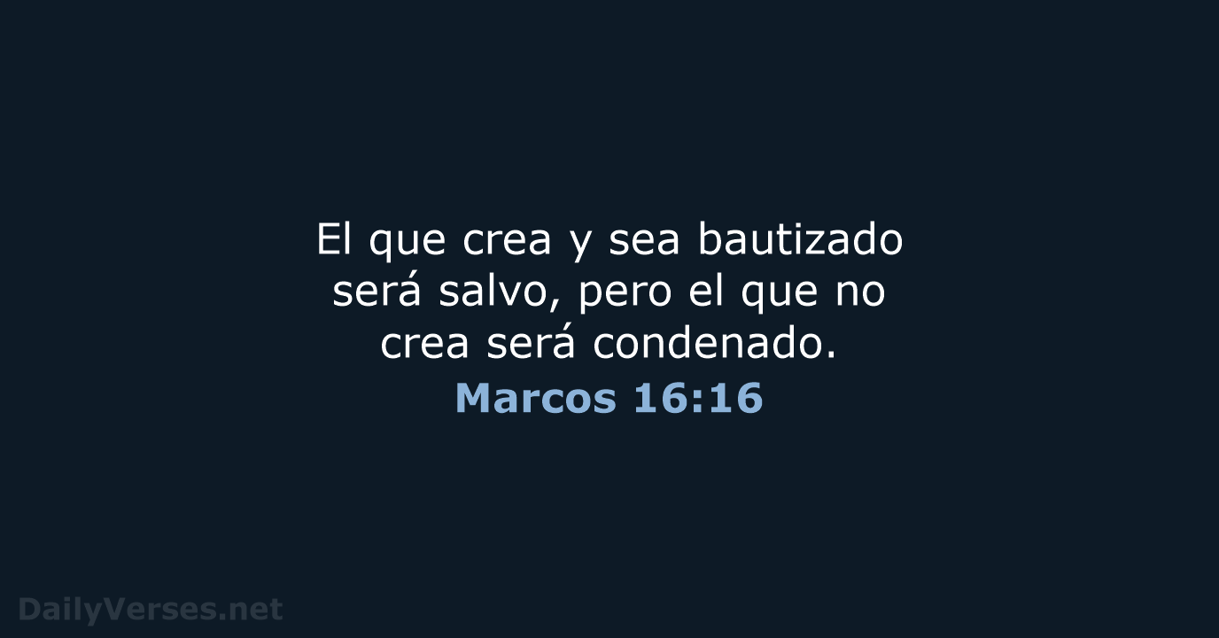 Marcos 16:16 - NVI
