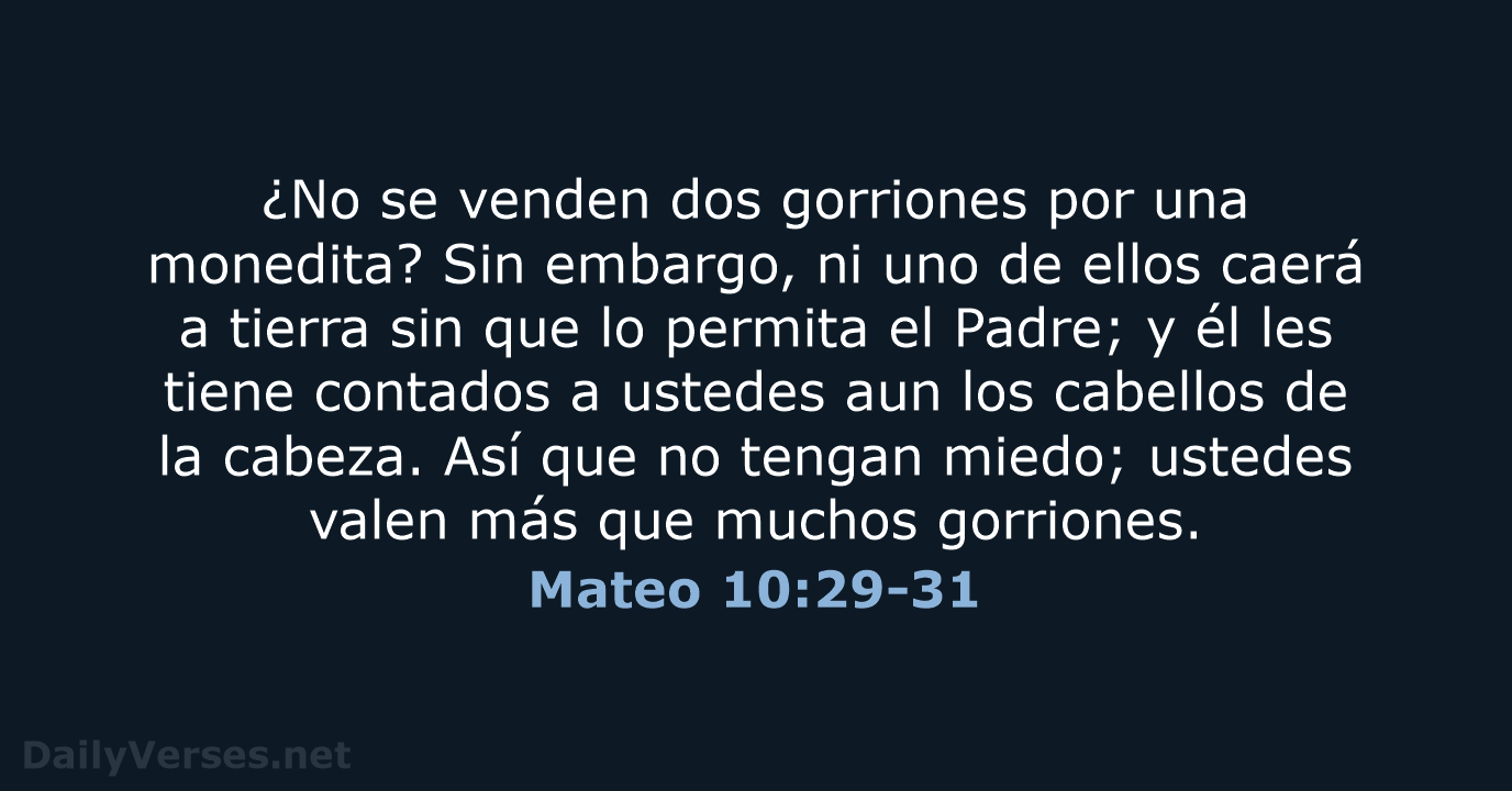 Mateo 10:29-31 - NVI