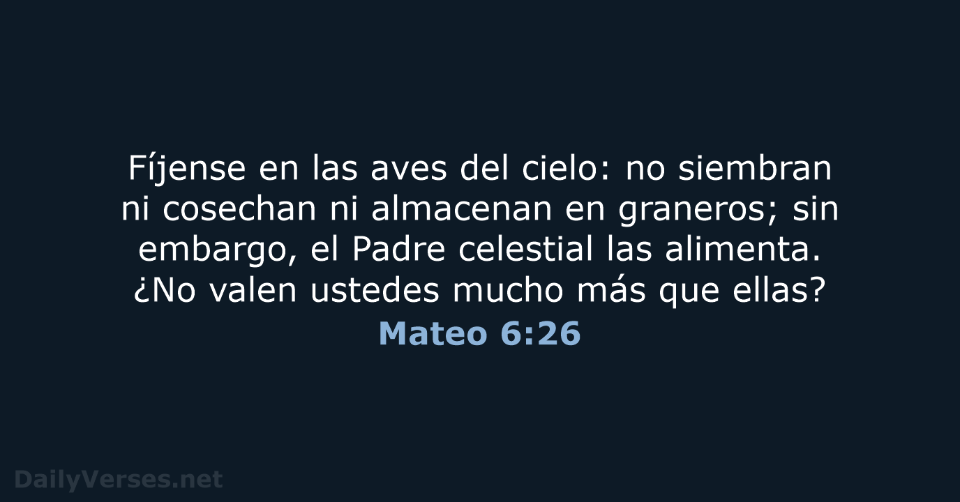 Mateo 6:26 - NVI