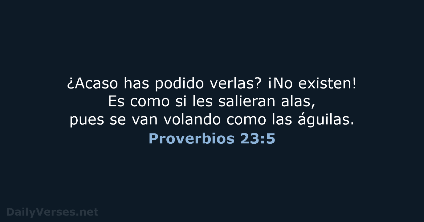 Proverbios 23:5 - NVI