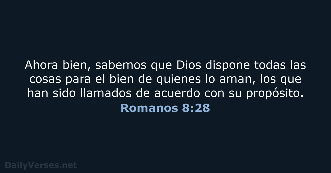 Romanos 8:28 - NVI