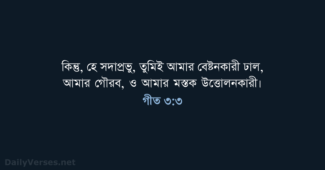 গীত ৩:৩ - ROVU