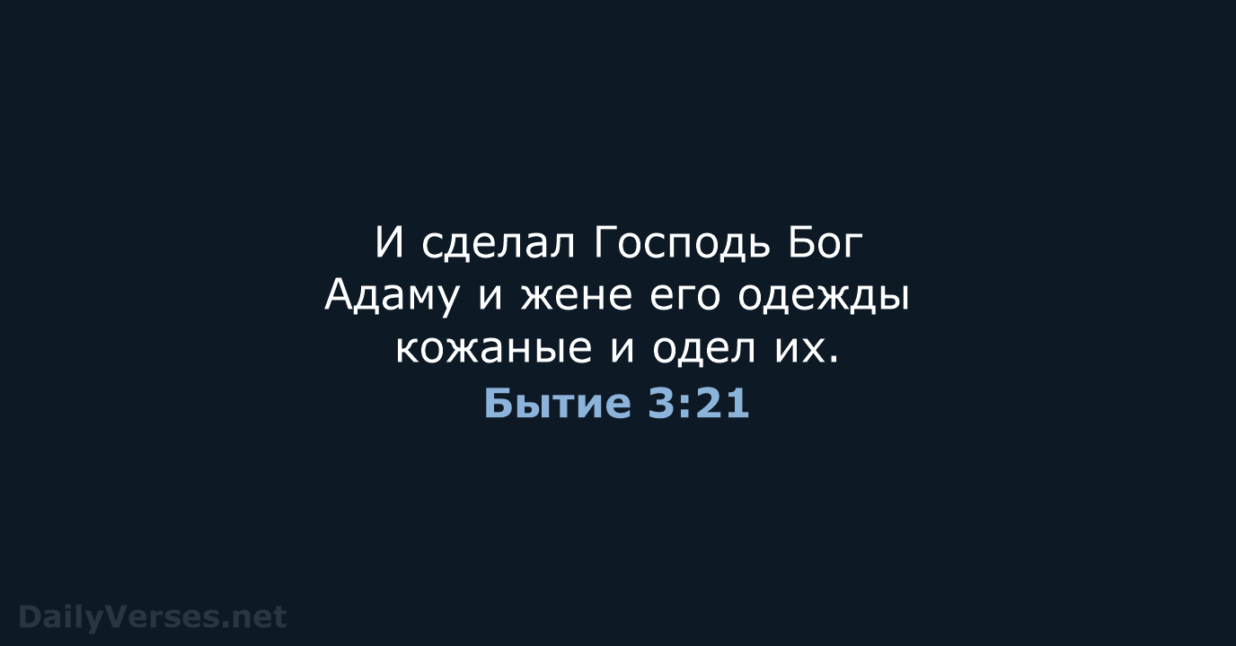 Бытие 3:21 - СП