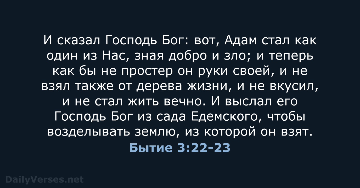 Бытие 3:22-23 - СП